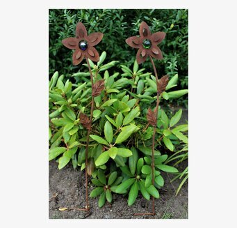 Lotusblomma Stav från Lind Decoration i en grön trädgård