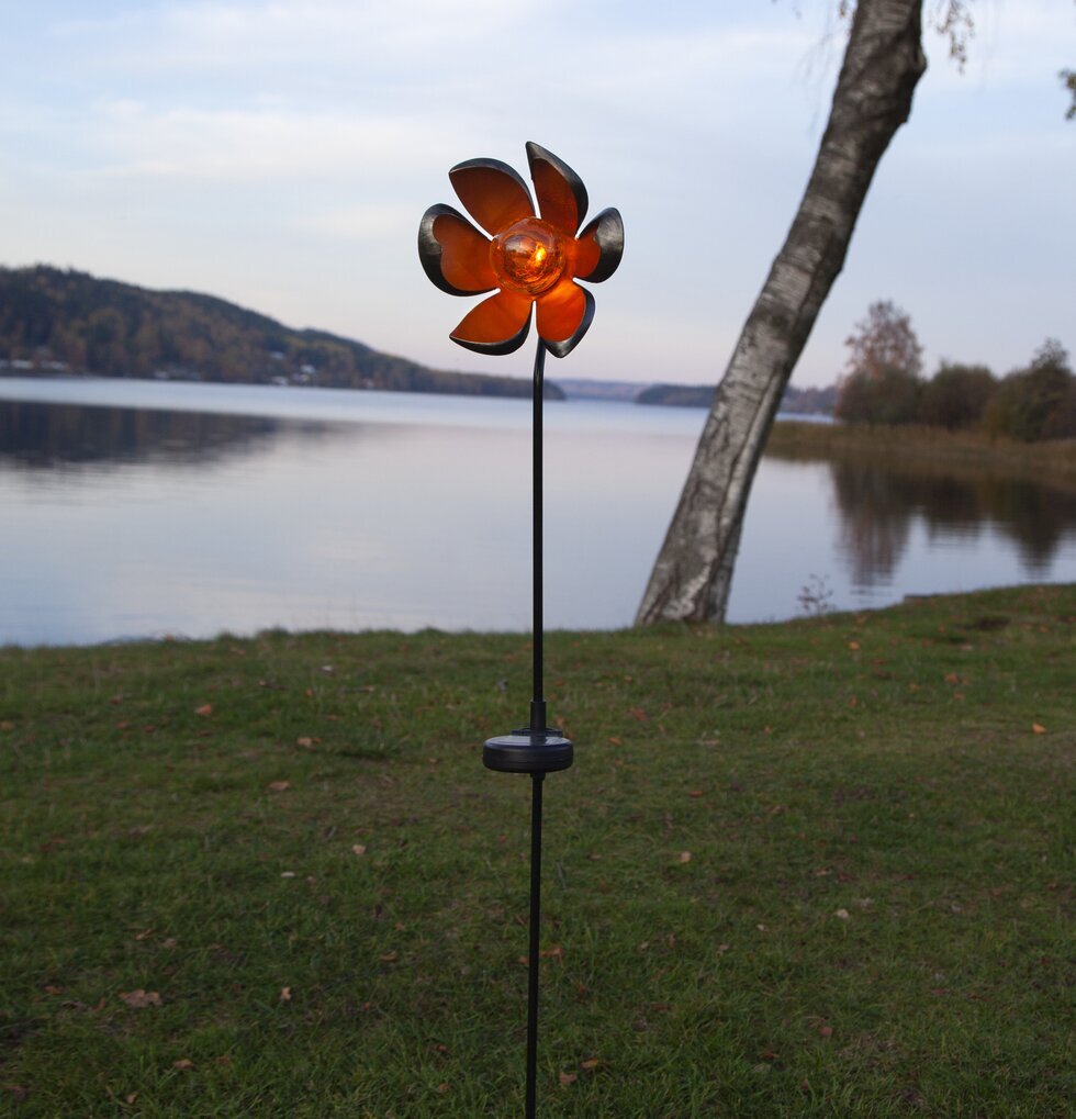 Solcellsdekoration Melilla från Star Trading i trädgård