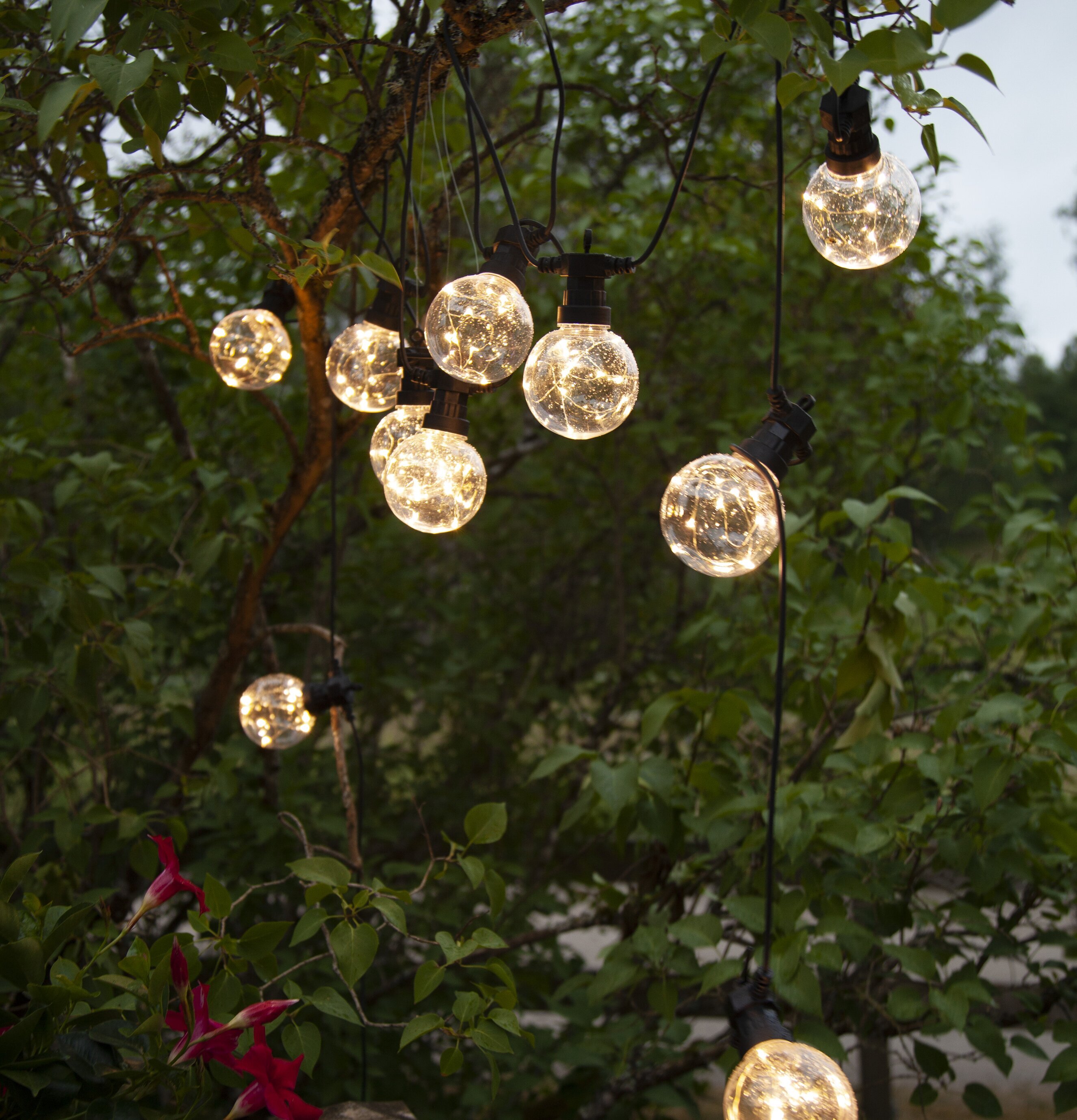 Ljusslinga Big Circus från Star Trading i träd med grönska