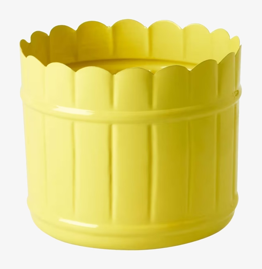 Blomkruka Yellow Mellan från Rice med vågig kant och ribbor
