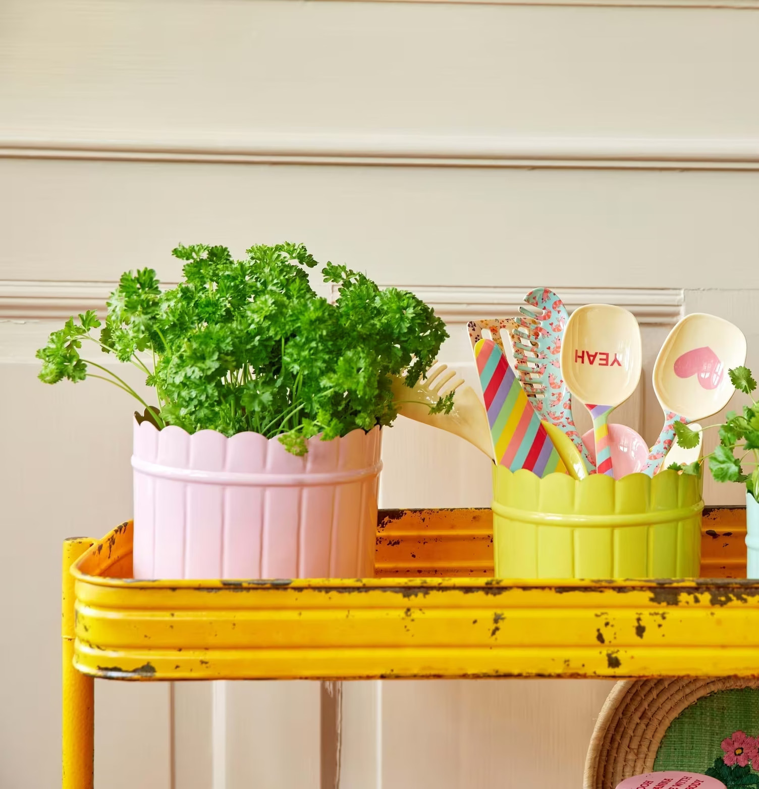 Blomkruka Ballet Slipper Pink Stor från Rice med persilja