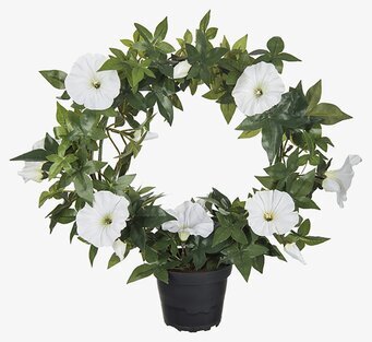 Blomma För Dagen Vit Mr Plant Konstväxter Konstblommor Plastväxter Plastblommor