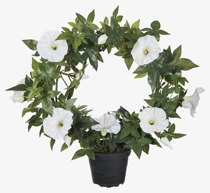 Blomma För Dagen Vit från Mr Plant i svart plastkruka