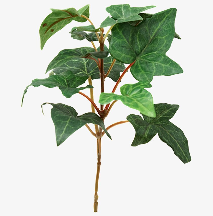 Murgröna 15 Cm från Mr Plant, en realistisk konstväxt