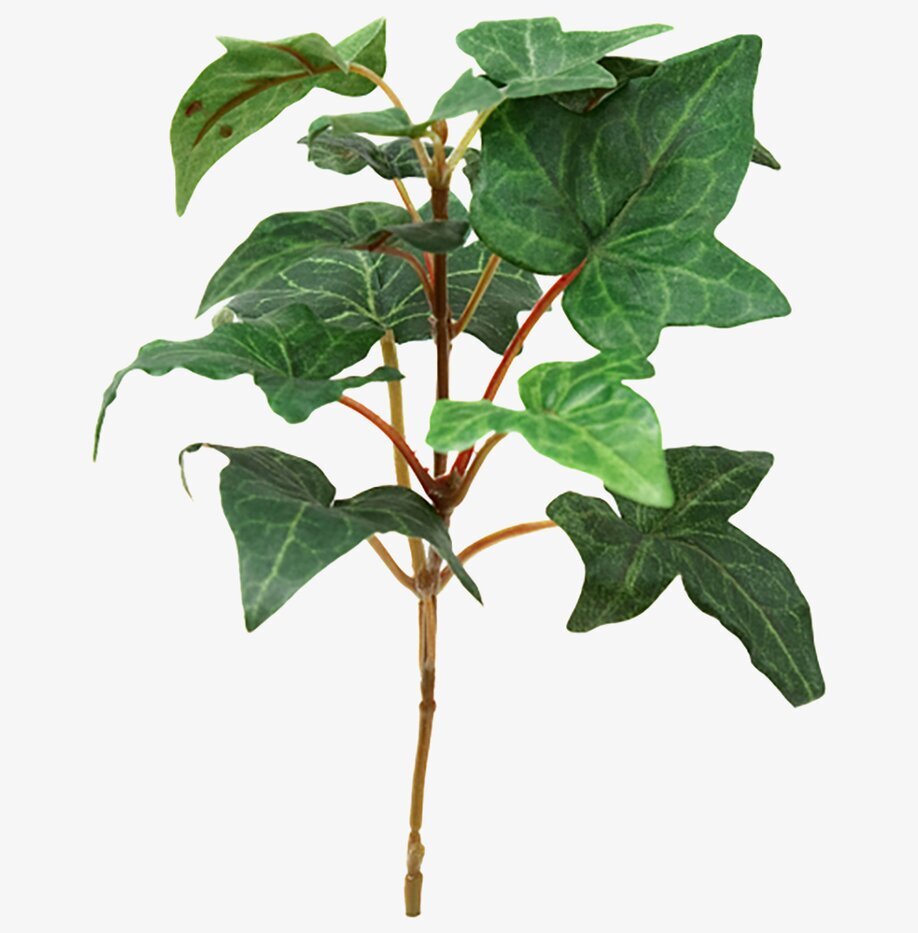 Murgröna 15 Cm från Mr Plant, en realistisk konstväxt