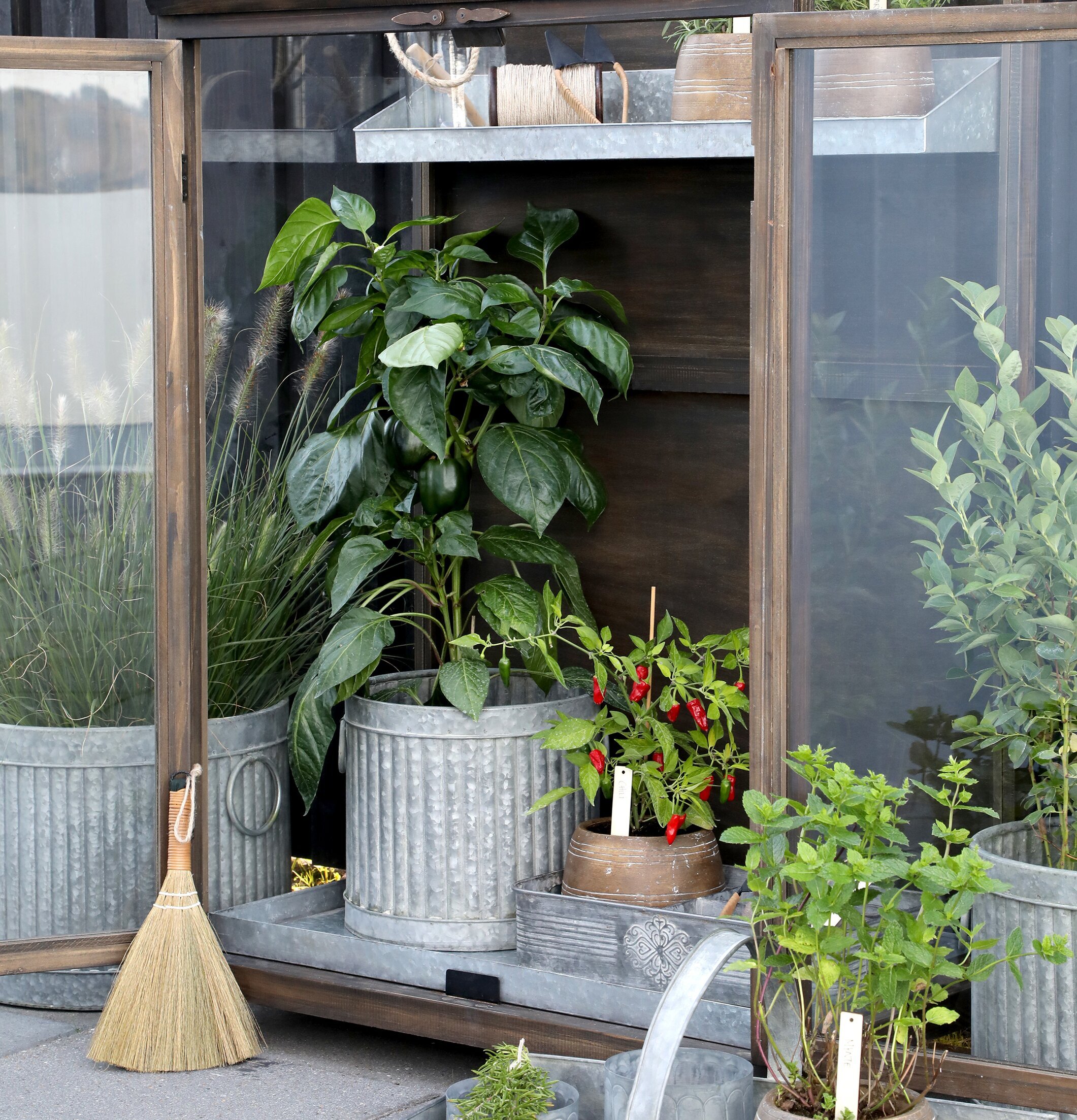 Bricka Antik Zink från Chic Antique med kruka och chilipeppar