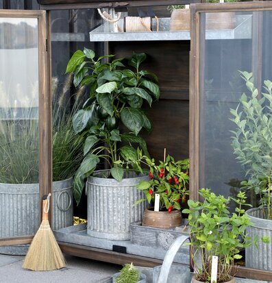 Bricka Antik Zink från Chic Antique med kruka och chilipeppar