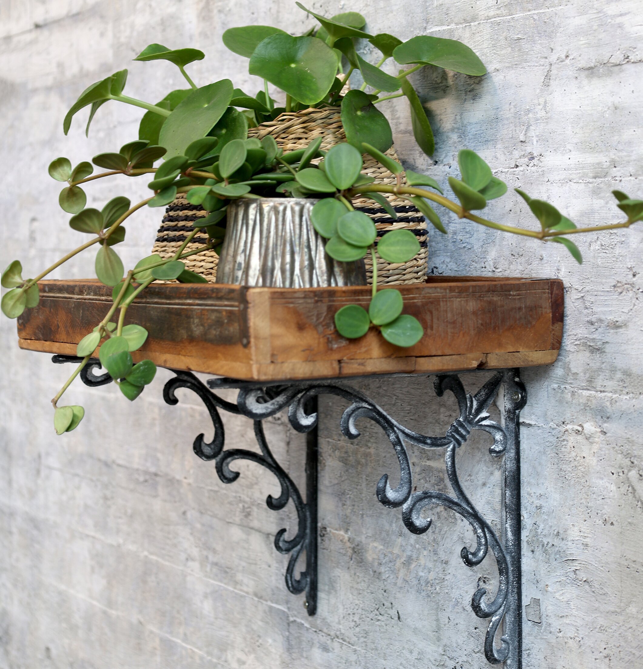 Hyllkonsol Fransk Lilja Antikgrå från Chic Antique på vägg