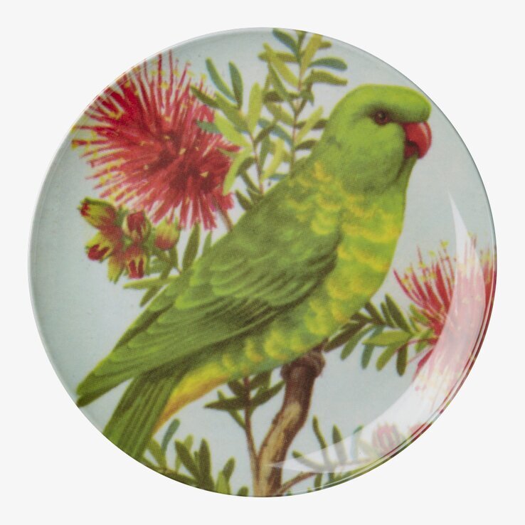 Tallrik Vintage Bird från Rice med grön papegoja och blommor