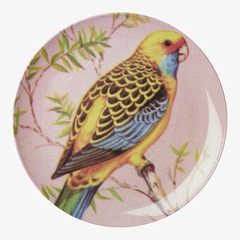 Tallrik Vintage Bird från Rice med färgstarkt fågelmotiv