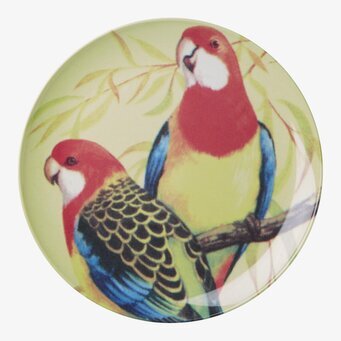 Tallrik Vintage Bird från Rice med livfulla fågelmotiv