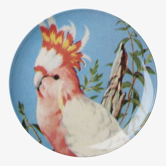 Tallrik Vintage Bird från Rice med färgglad papegojdesign
