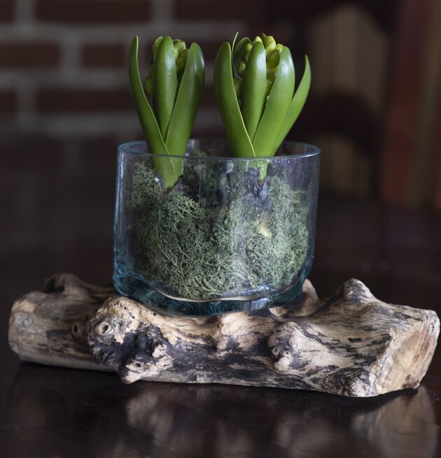 Glasskål Trädrot Liten från Different Design på träbord