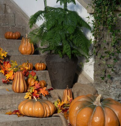 Pumpa Orange Avlång Poly från A Lot Decoration på trappa