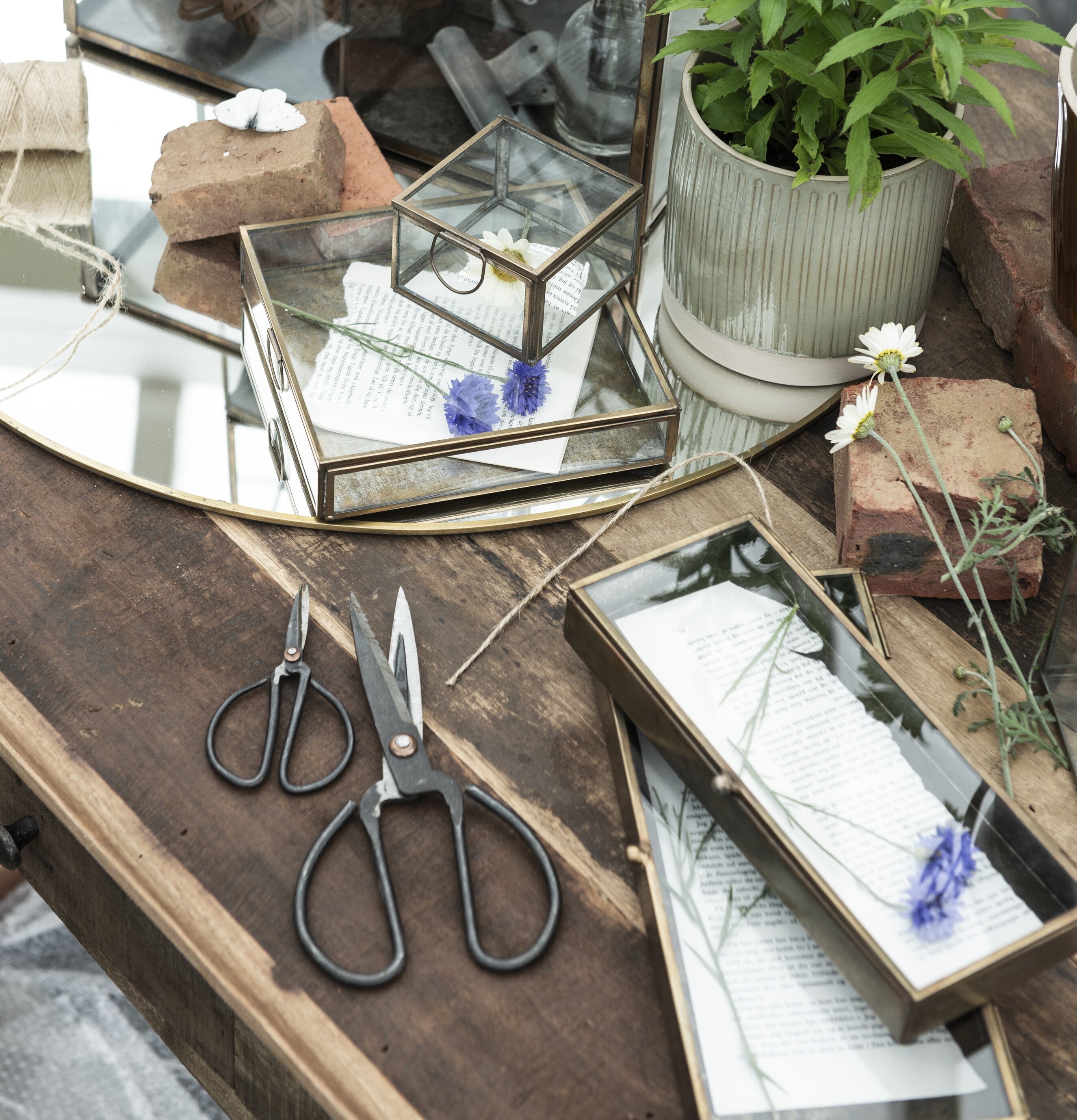 Glasbox Låg Solitaire Mässing från IB Laursen på arbetsyta