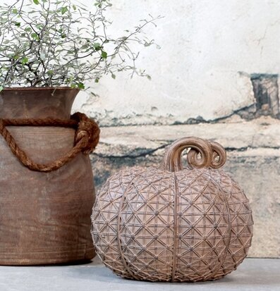 Pumpa Medium Antique Latte från Chic Antique på rustik yta