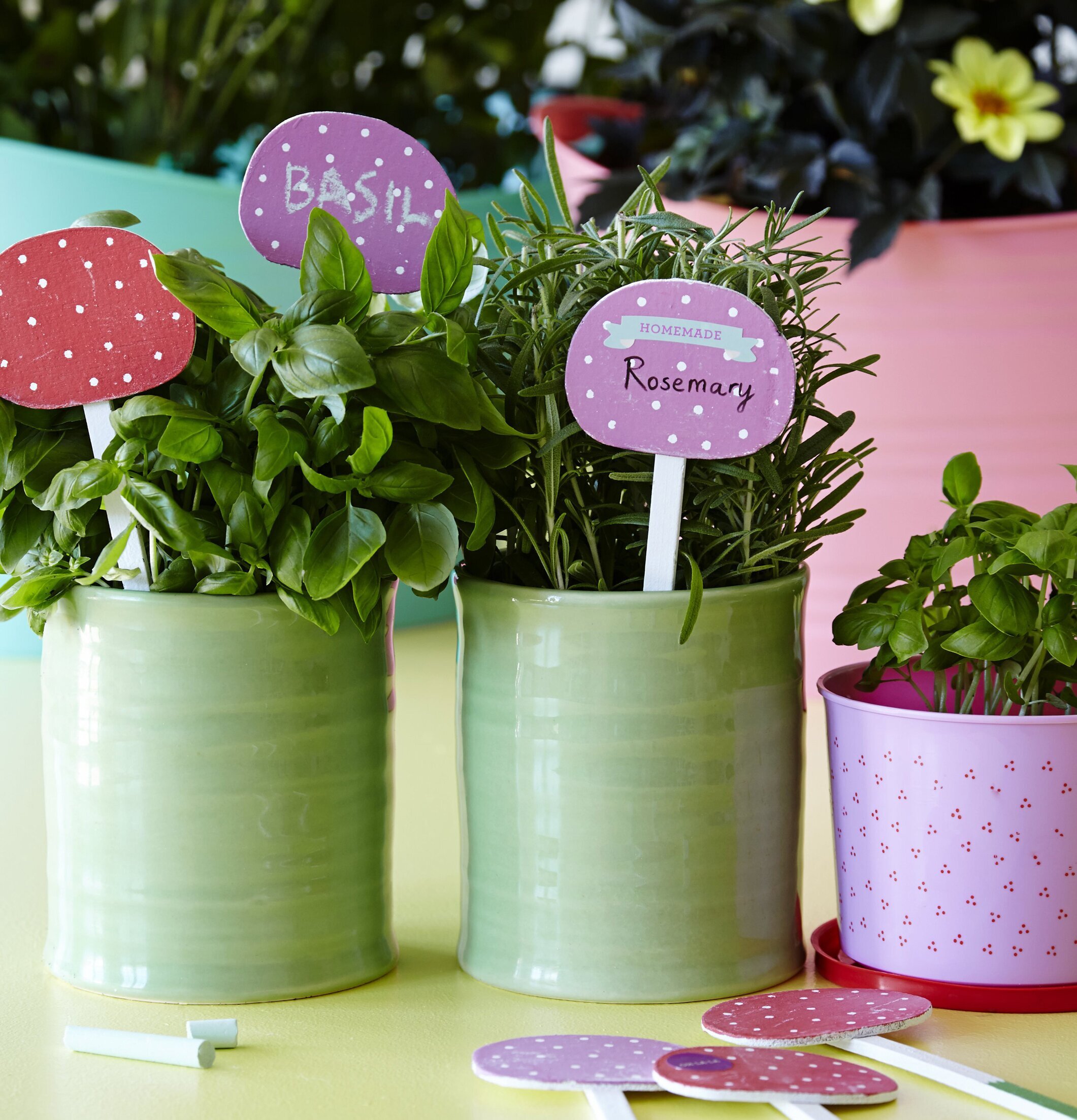 Garden Signs 6-Pack från Rice i färgglada krukor med örter