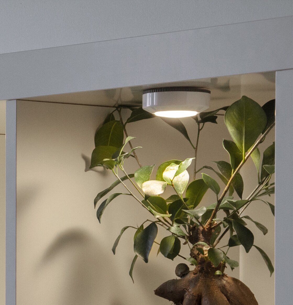 Puck LED Functional Vit 3-Pack från Star Trading under hylla