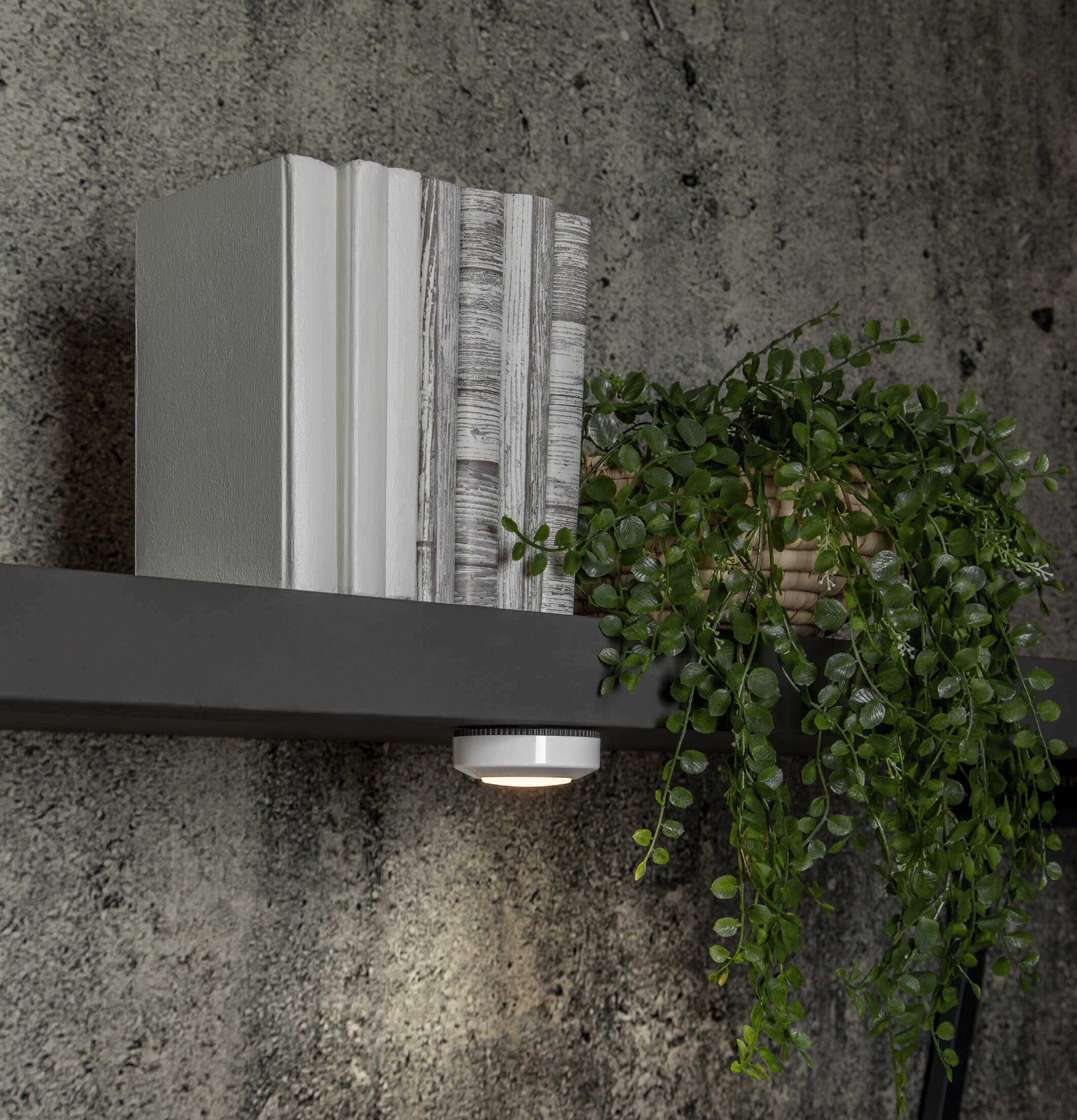 Puck LED Functional Vit 3-Pack från Star Trading under hylla