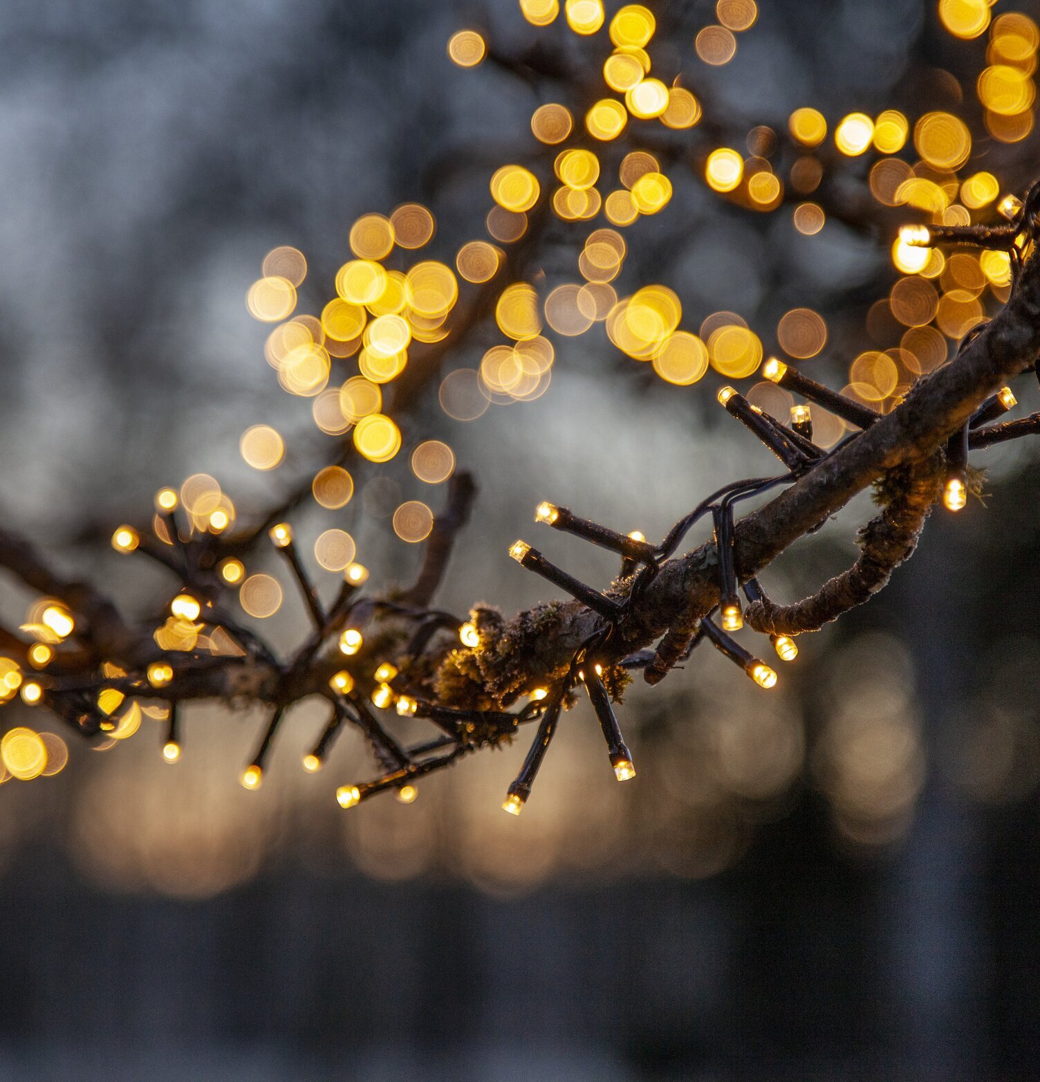 Ljusslinga Flashy 800 LED, 16 Meter från Star Trading