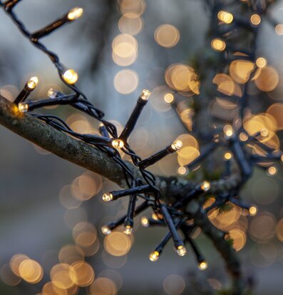 Ljusslinga Flashy 800 LED, 16 Meter från Star Trading runt gren