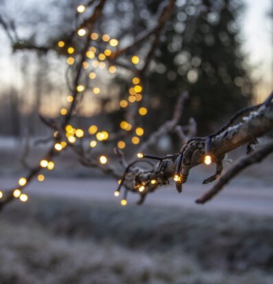 Ljusslinga Flashy 300 LED, 21 Meter från Star Trading i träd