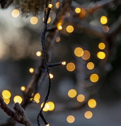 Ljusslinga Flashy 100 LED, 7 Meter från Star Trading i träd