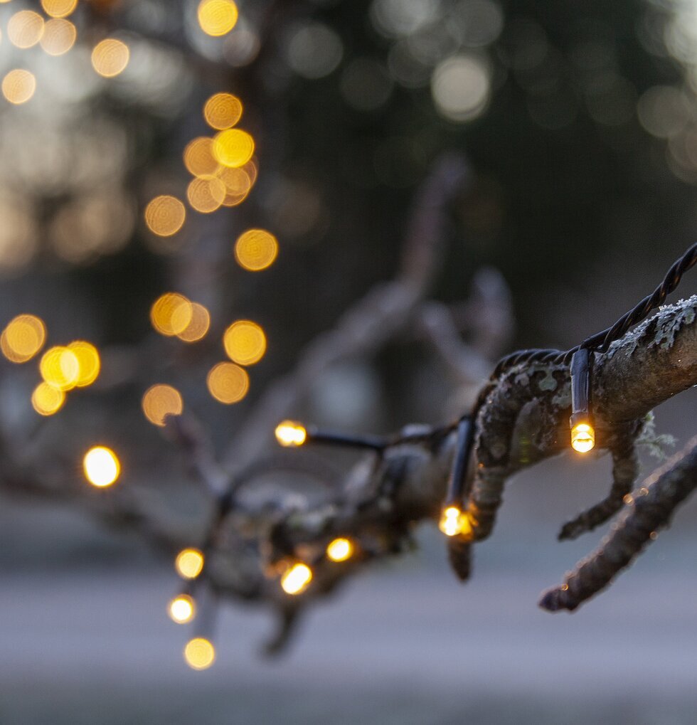 Ljusslinga Flashy 100 LED, 7 Meter från Star Trading i träd