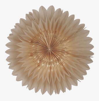 Julstjärna Lotus 44 Beige från Watt och Veke i fönster