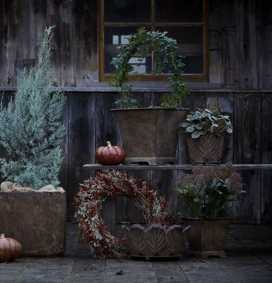 Tora Kruka Rost Wikholm Form