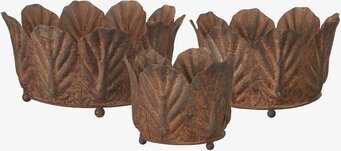 Tora Kruka Rost Wikholm Form