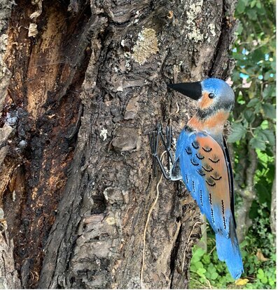 Hackspett Hasse Hamrad Plåt från Different Design i trä