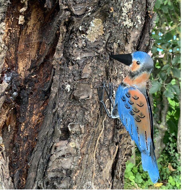 Hackspett Hasse Hamrad Plåt från Different Design i trä