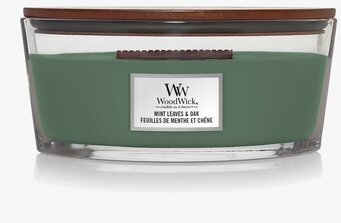 WoodWick Mint Leaves & Oak ljus i glasbehållare med trälock