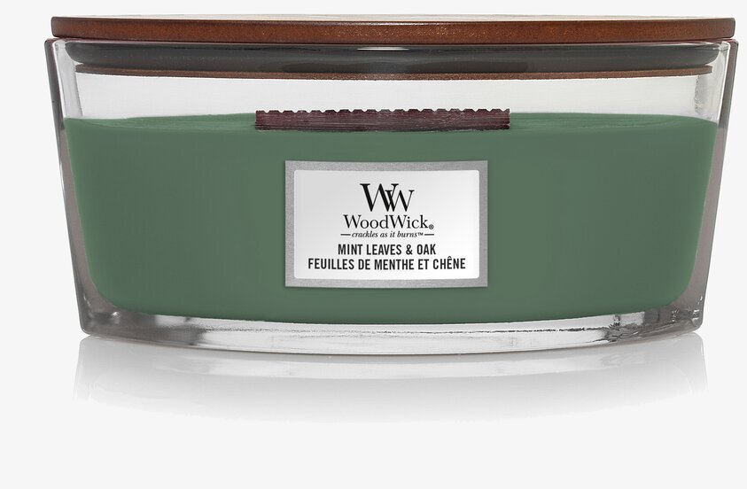 WoodWick Mint Leaves & Oak ljus i glasbehållare med trälock
