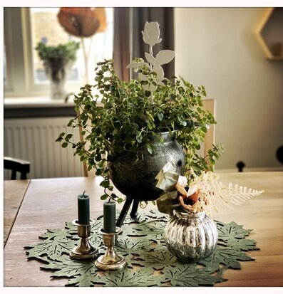 #ÄlskaPlåt Ros Vit från Älskaplåt i en grön växt på träbord