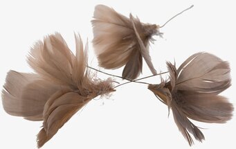 Fjäder/Tråd Blom Mullvad 12 st från A Lot Decoration