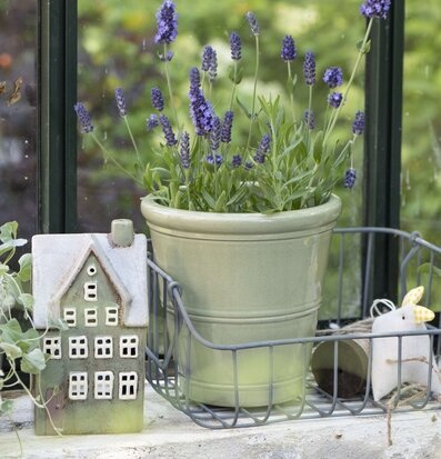 Bild av hemtrevnad med stilfull enkelhet och natur