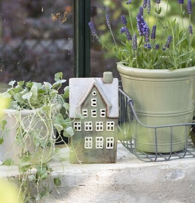 Bild av harmonisk inredning med grönska och dekor