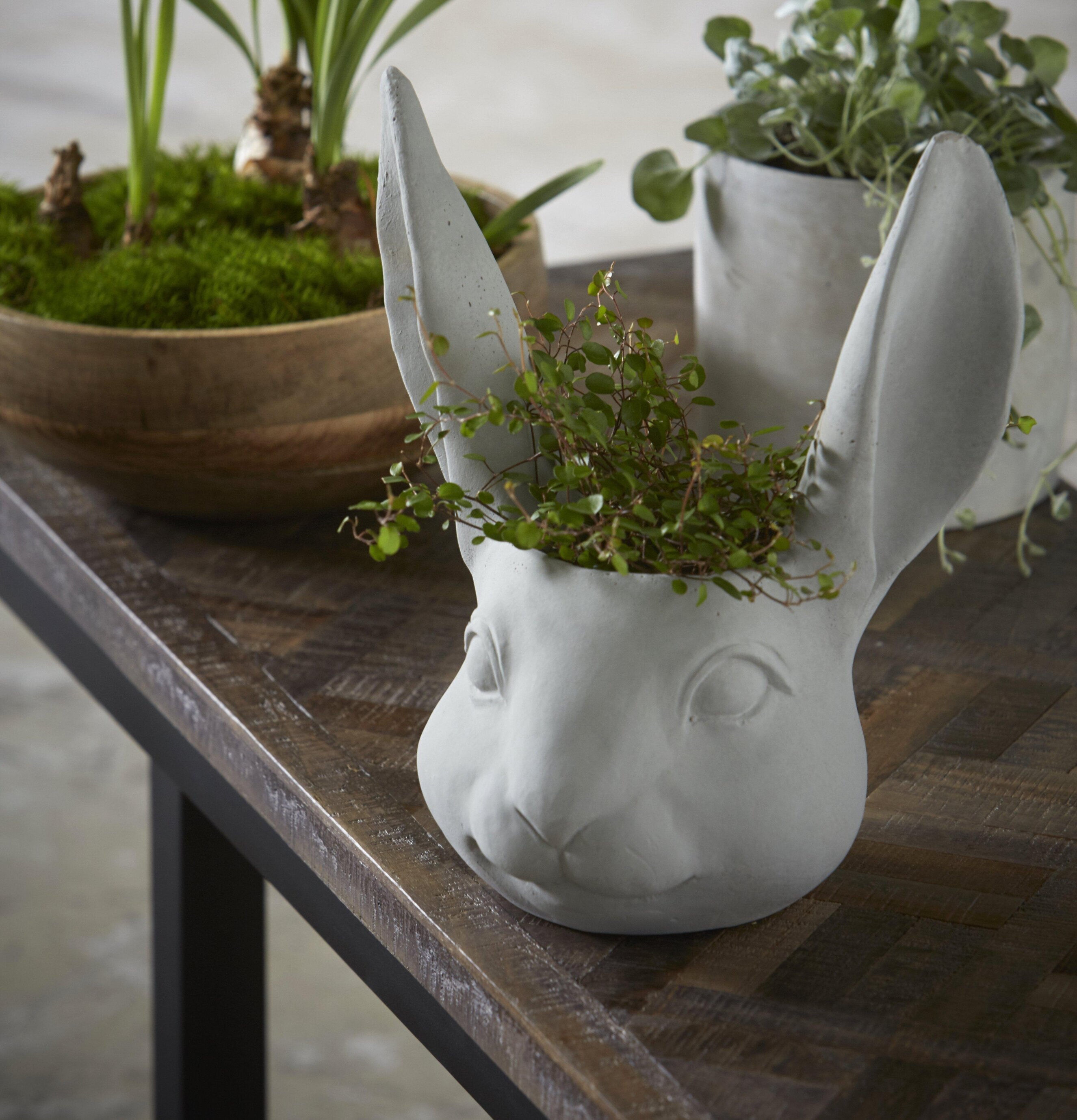 Kruka Huvud Kanin Liten från Wikholm Form på träbord