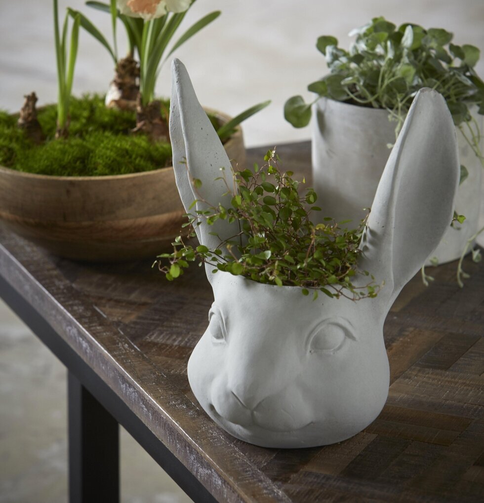 Kruka Huvud Kanin Stor från Wikholm Form med grön växt