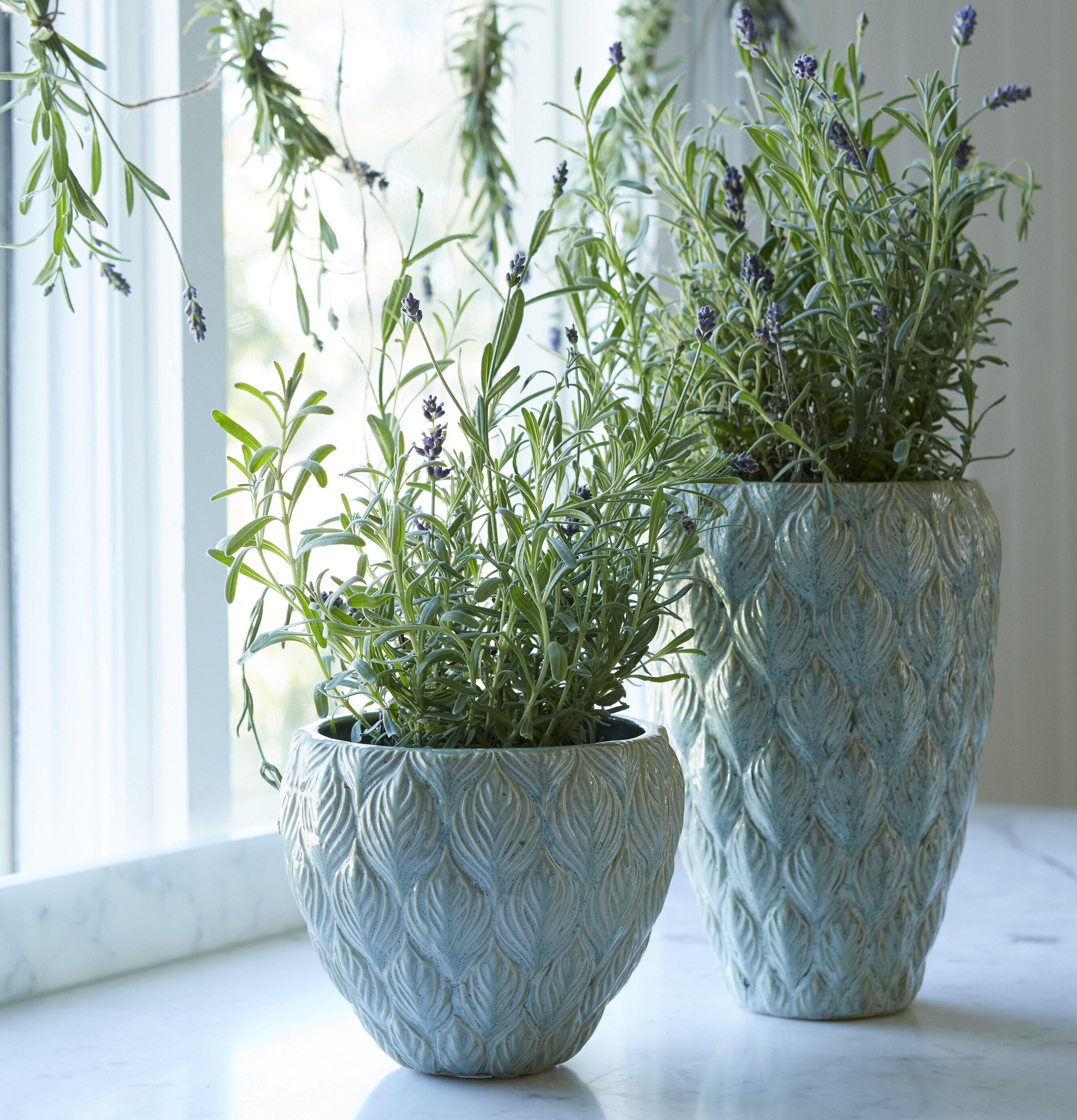 Kruka Rose Ljusgrön från Wikholm Form på vit marmorfönsterbräda