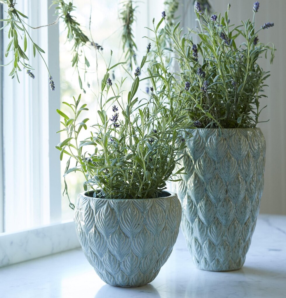 Kruka Rose Ljusgrön från Wikholm Form på vit marmorfönsterbräda