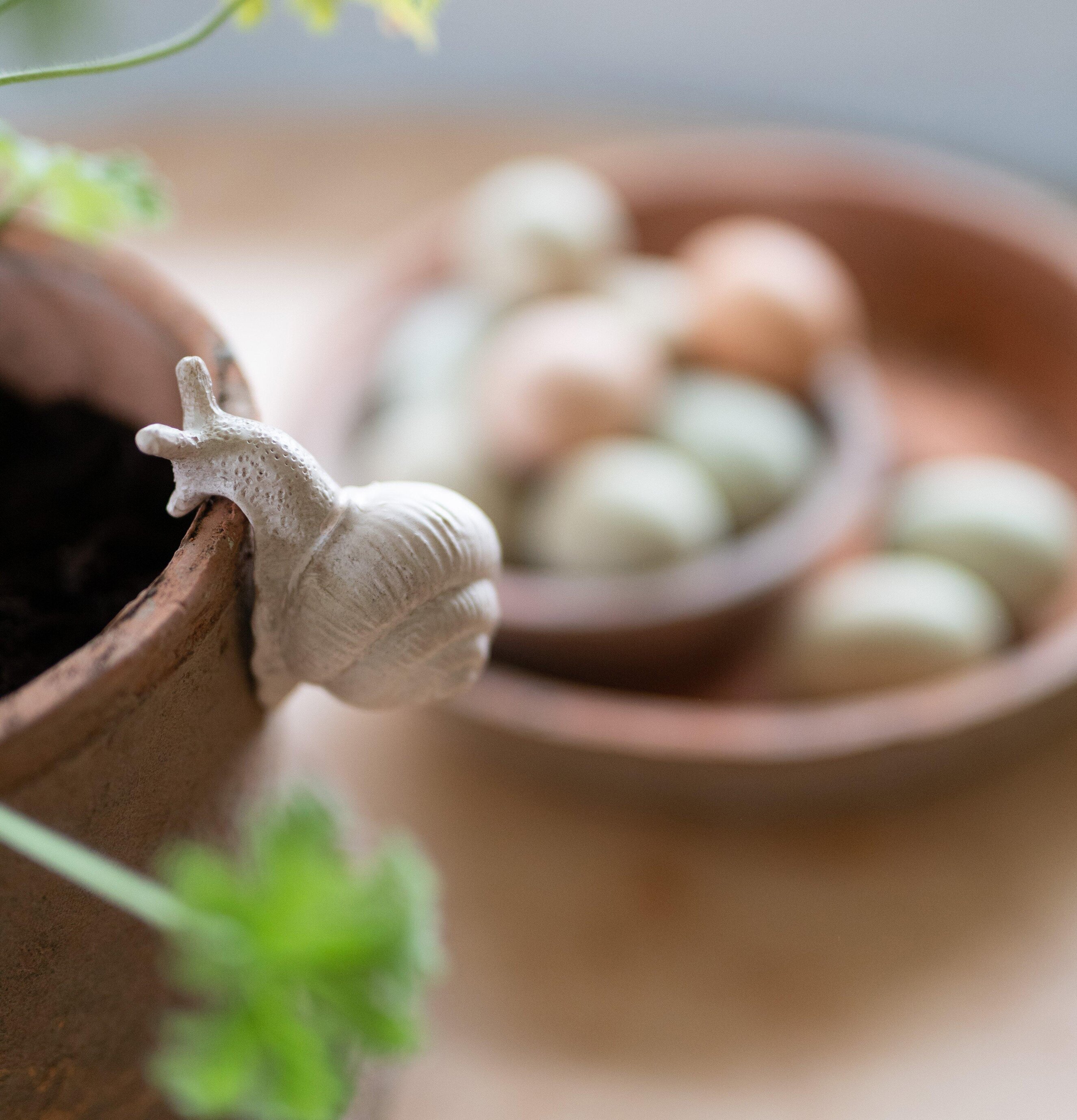 Helix Snigel Mix Offwhite från Wikholm Form på lerkruka