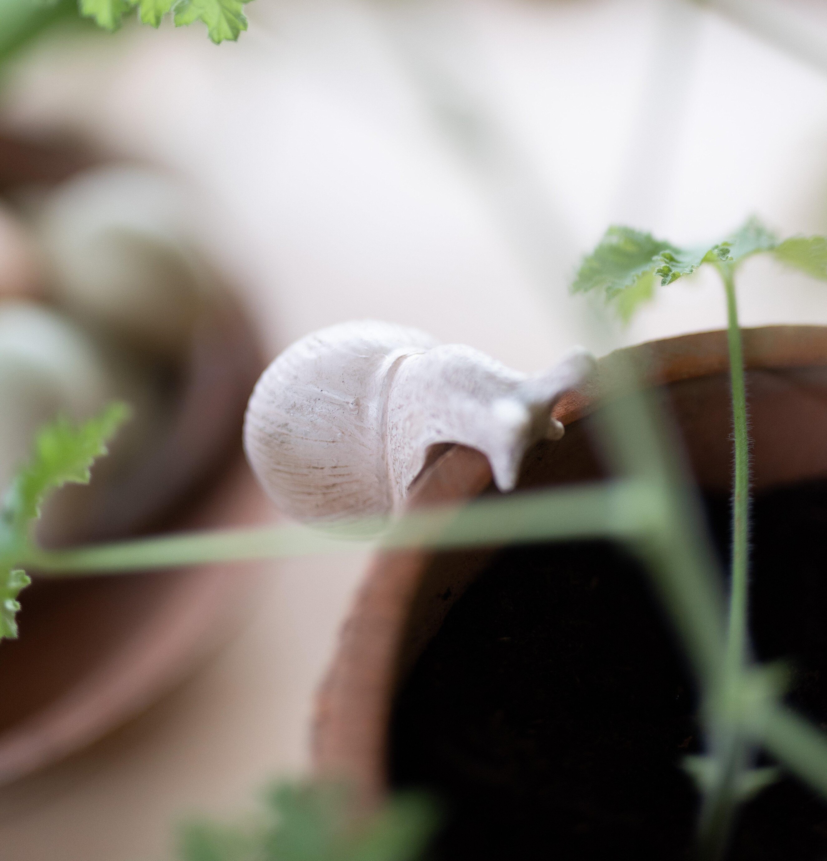 Helix Snigel Mix Offwhite från Wikholm Form i terrakottakruka