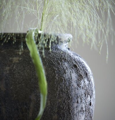 Amora Urna Brunmelerad 40 cm från Wikholm Form med växt