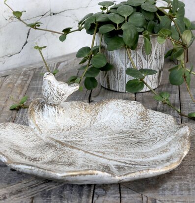 Fågelbad Med Guldmönster från Chic Antique på väderbitet trä