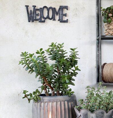 Skylt Welcome Antique Grå från Chic Antique med växter