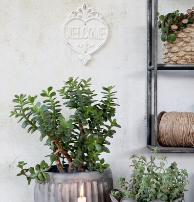 Skylt Welcome Antique Creme från Chic Antique på rustik vägg