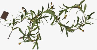 Girlang Olivec från Star Trading med LED-lampor och olivlöv